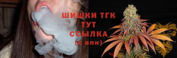 apvp Нягань