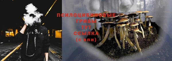 MDMA Premium VHQ Нязепетровск
