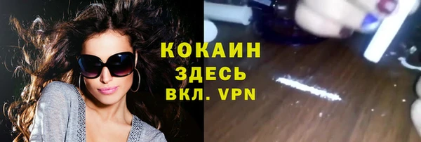 дмт Няндома