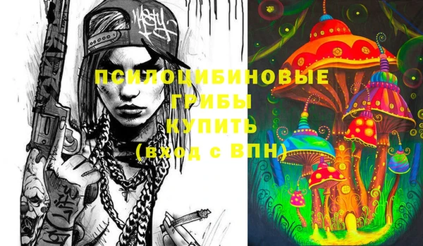 mdpv Осинники