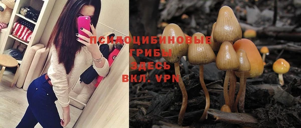 герыч Осташков