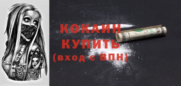 дмт Няндома