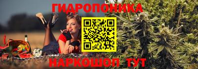 дурь Будённовск