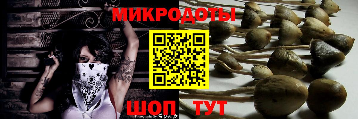Майский  Галлюциногенные грибы Psilocybine cubensis  Вход с VPN 